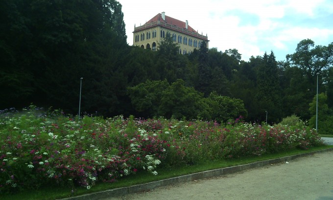stromovka