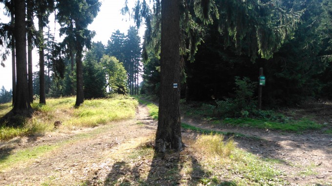 hvzda
